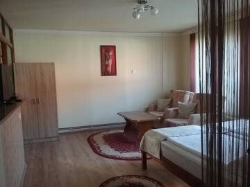 Фото номера Апартаменты с видом на сад Гостевой дом Pensiunea Rose г. Păuleni-Ciuc 10