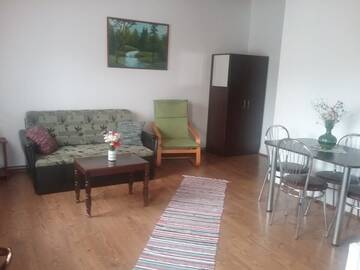 Фото номера Апартаменты с видом на горы Гостевой дом Pensiunea Rose г. Păuleni-Ciuc 16